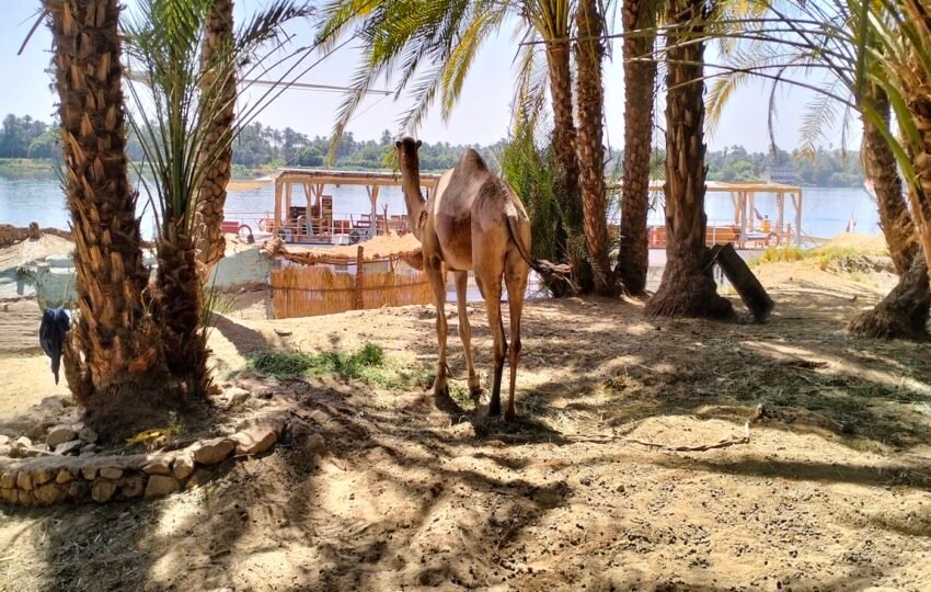 4-Day Dahabiya Nile Cruise