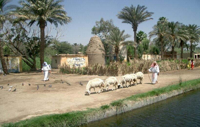 Pharaonic Village​ Day Tour from Cairo